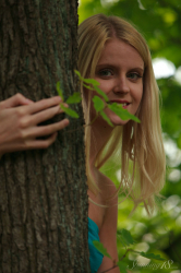 Under-the-Tree