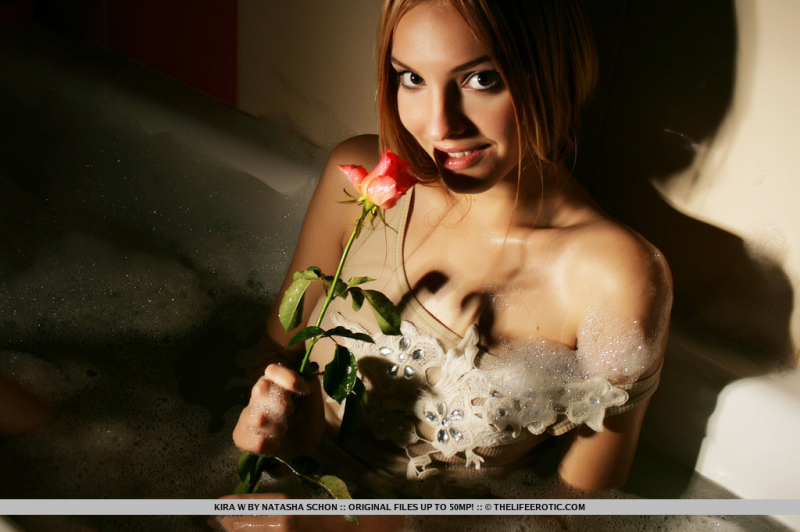 Wet Rose