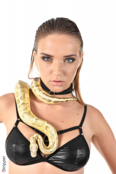 Snake-Charmer