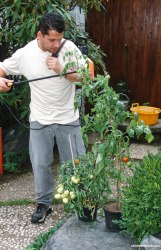 Fucked-by-the-gardener