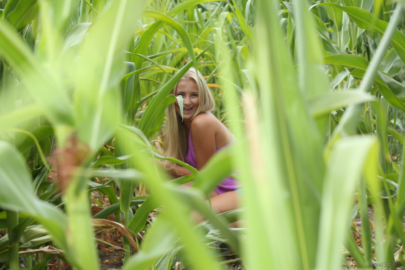 Two blondes play in the fields