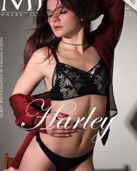 Presenting Harley