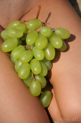 Grapes-in-the-Desert