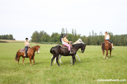 Naked-horse-riding