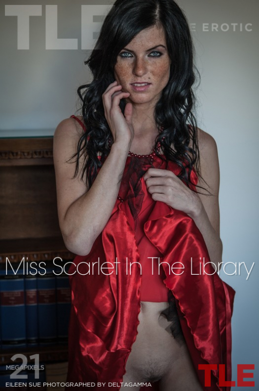 Miss Scarlet In The Library