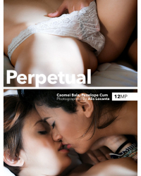 Perpetual