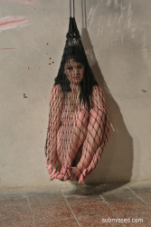 Alice-trapped-and-dangling-in-net-getting-vibed