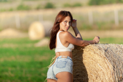 Hay-Roll