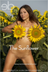 The-Sunflower