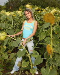 Sandy masturbating in a sunflower field