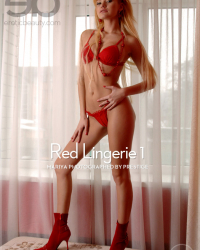 Red Lingerie 1