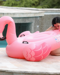 Nasty brunette banged at poolside