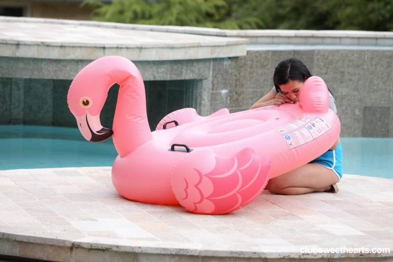 Nasty brunette banged at poolside