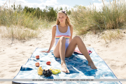 Beach-Picnic