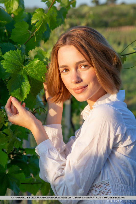 Vineyard View