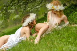 Fairies-in-the-Garden