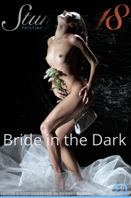 Bride in the Dark