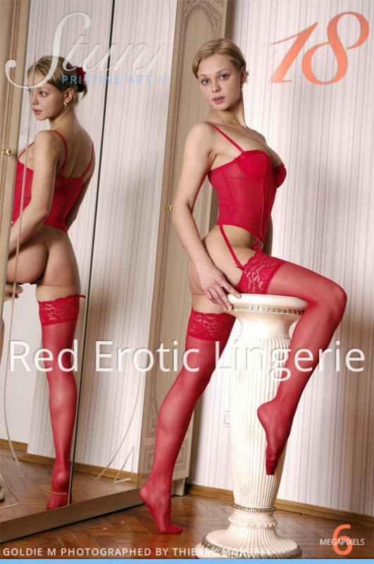 Red Erotic Lingerie